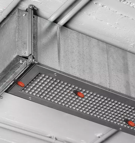 Affordable Insect Removal from Air Ducts in Fort Smith, AR